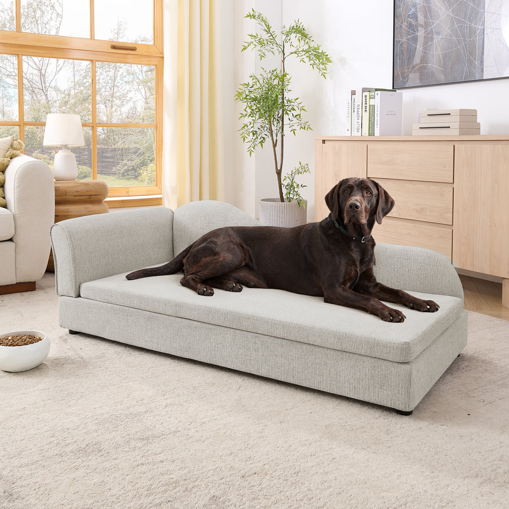 Large dog stretched out on the beige linen pet sofa at home