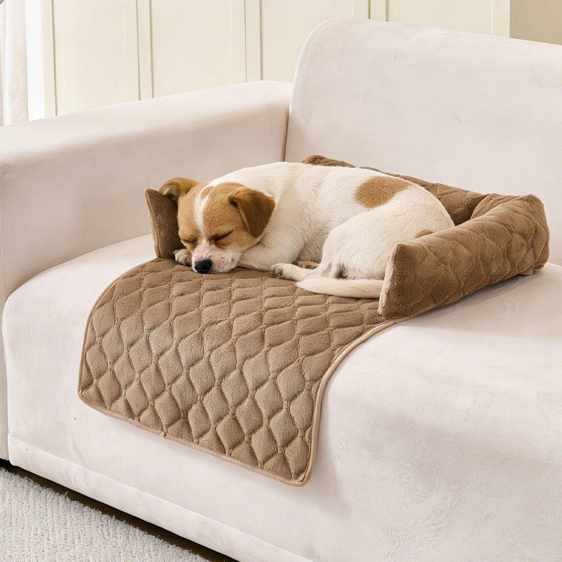 Small dog resting on a coffee brown quilted sofa-style dog bed