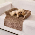 Coffee brown quilted dog bed protecting a cream sofa cushion