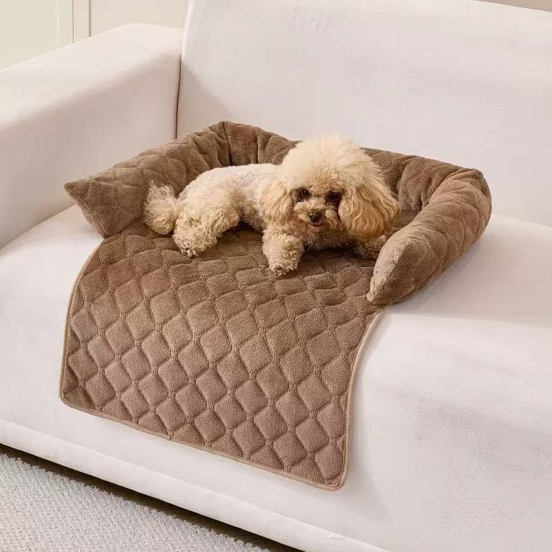 Coffee brown quilted dog bed protecting a cream sofa cushion